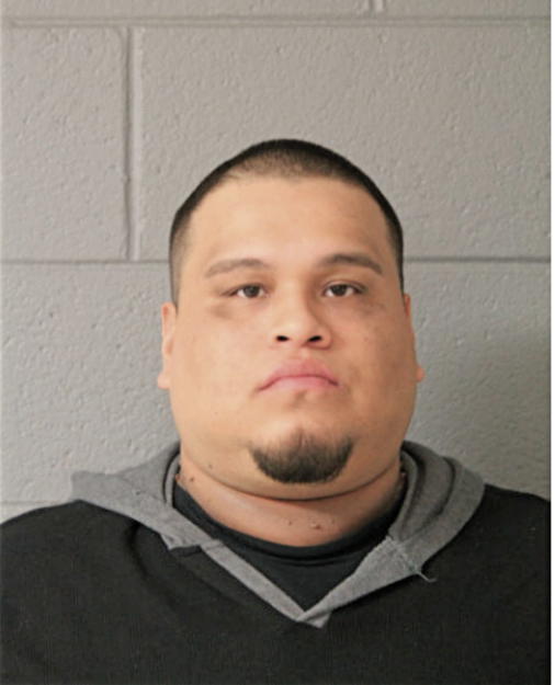 AARON MEDA, Cook County, Illinois