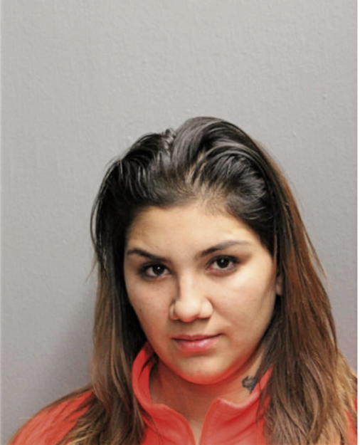 PATRICIA ORTEGA, Cook County, Illinois