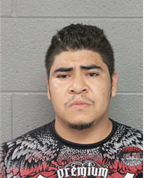 JORGE RIBERA, Cook County, Illinois