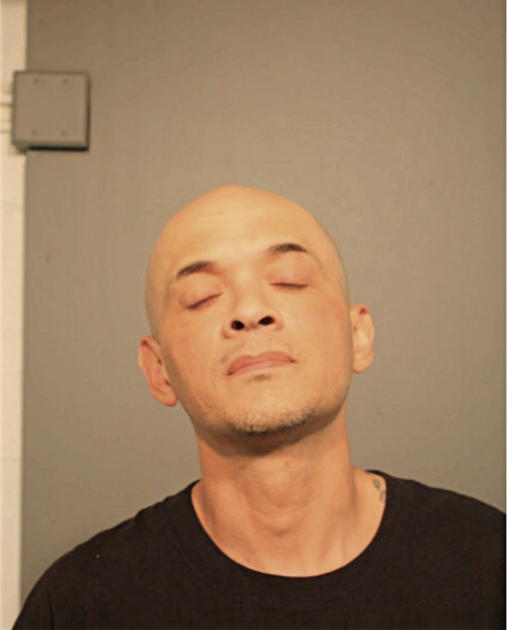 RENEE ROQUE, Cook County, Illinois