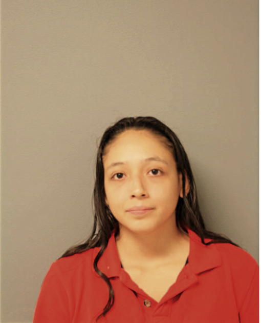 SANDRA S RUBIO, Cook County, Illinois
