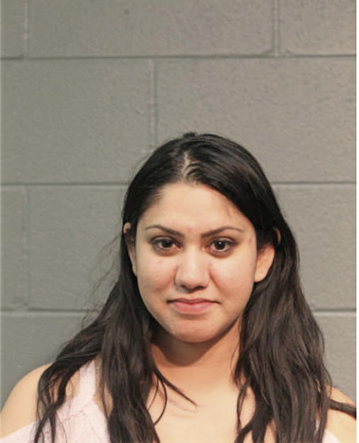 KINZA SHAMSIE, Cook County, Illinois