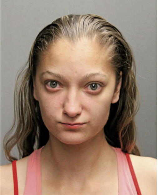 VICTORIA A SHANDOR, Cook County, Illinois