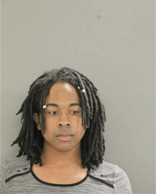 DAVID G SPEARMAN, Cook County, Illinois