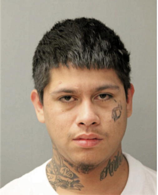 MARCO A TAVIRA, Cook County, Illinois