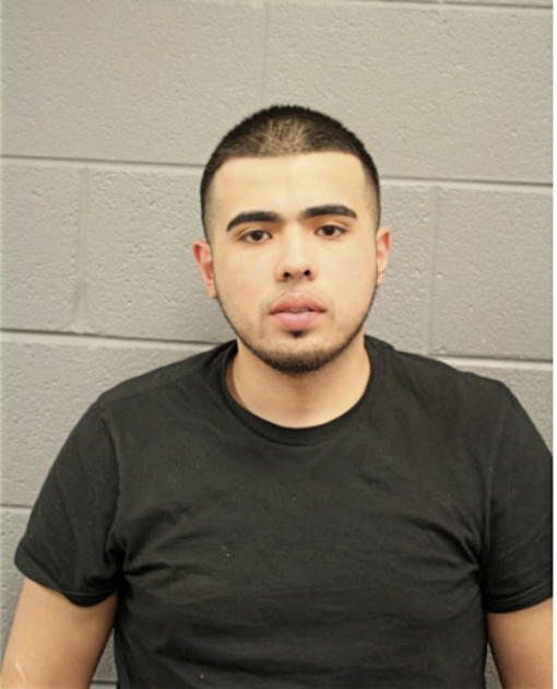 LUIS VARGAS, Cook County, Illinois