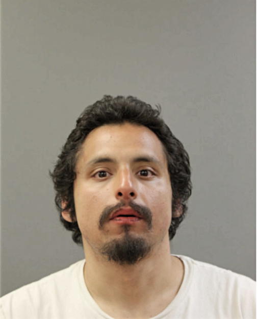 FRANCISCO J VEGA, Cook County, Illinois