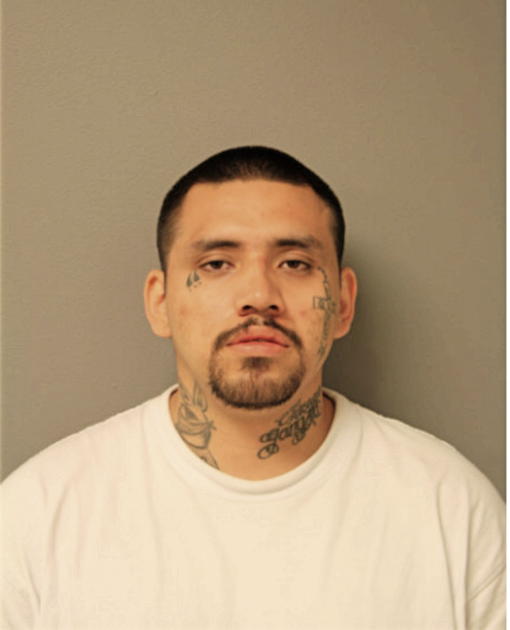 JOSEPH C VELA, Cook County, Illinois