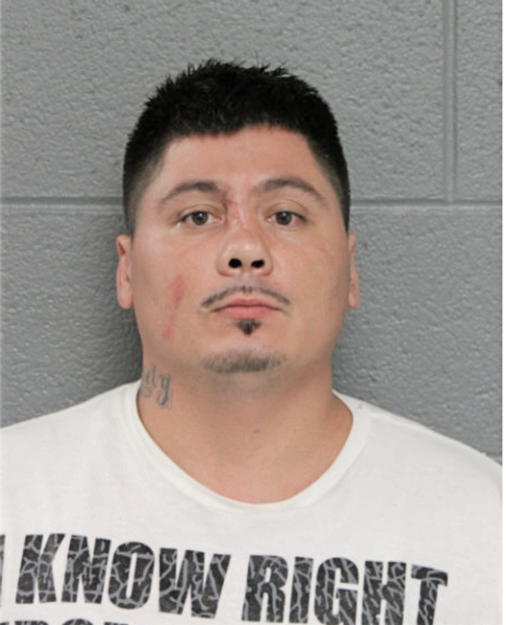 LUIS E VILLASENOR, Cook County, Illinois