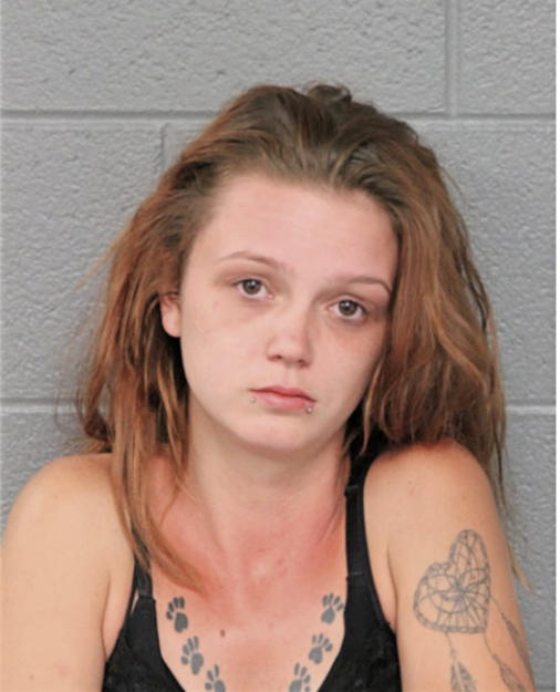 ALEXIS J VOSS, Cook County, Illinois