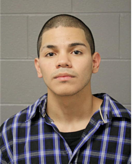 VICENTE AVILA, Cook County, Illinois