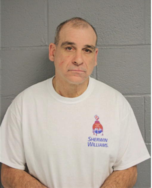 DOMINICK W BORRELLI, Cook County, Illinois