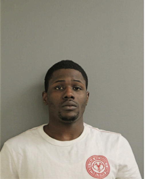 RAY A CHISM, Cook County, Illinois