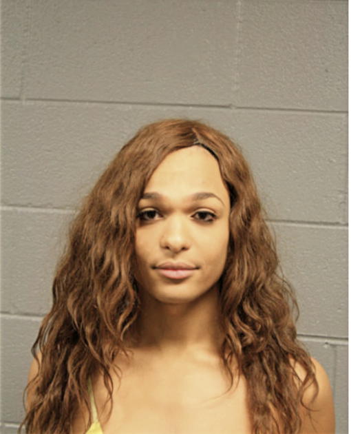 PIERRE L COLE, Cook County, Illinois