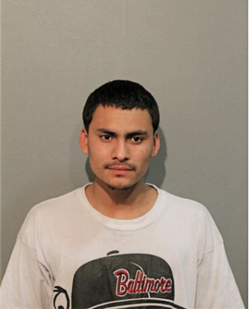 WILMER CORTEZ, Cook County, Illinois