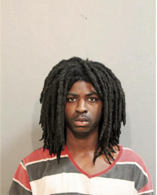 DWIGHT E CROSS, Cook County, Illinois
