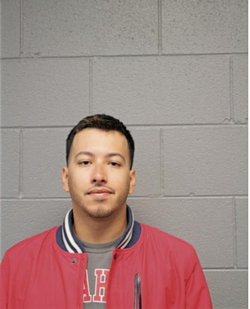 MENESES DANIEL, Cook County, Illinois