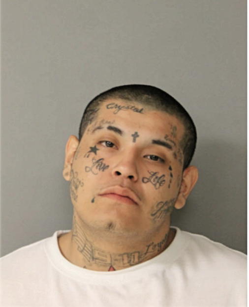 SHEA I DELGADO, Cook County, Illinois