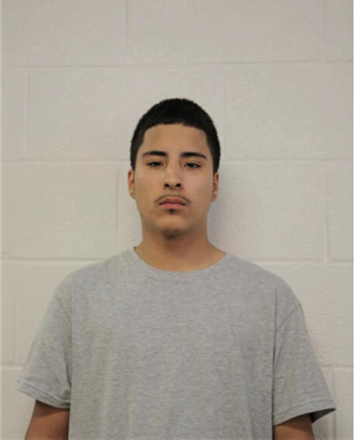 ALEJANDRO J ELVIRA, Cook County, Illinois