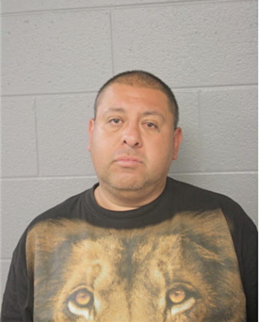 MIGUEL GUZMAN, Cook County, Illinois