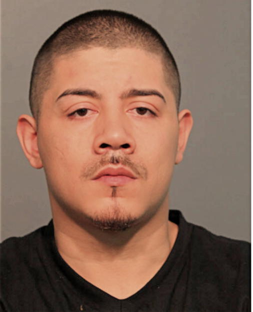 GARY M HERNANDEZ, Cook County, Illinois