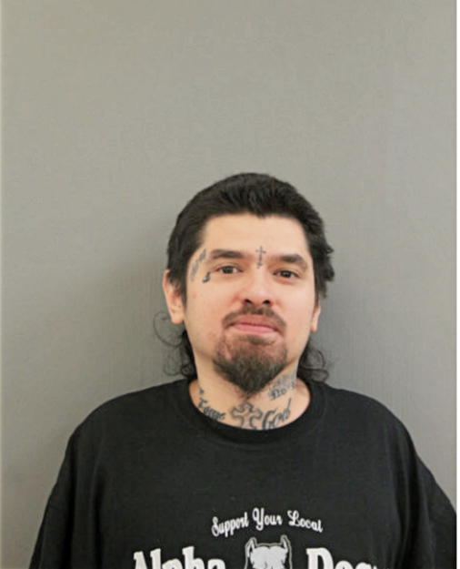 GEORGE IGNACIO RAMOS, Cook County, Illinois