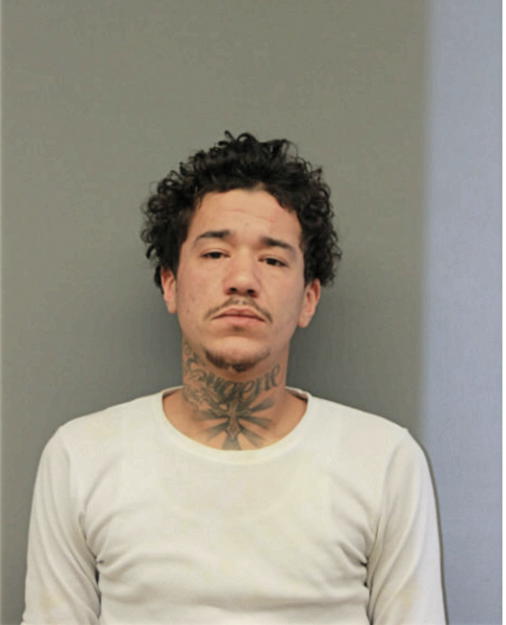 NOHAH Z JACKSON, Cook County, Illinois