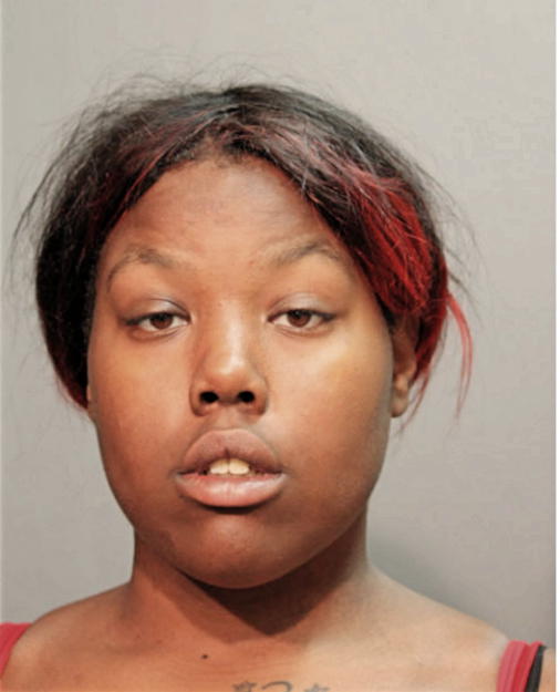 MINIE JOHNSON, Cook County, Illinois