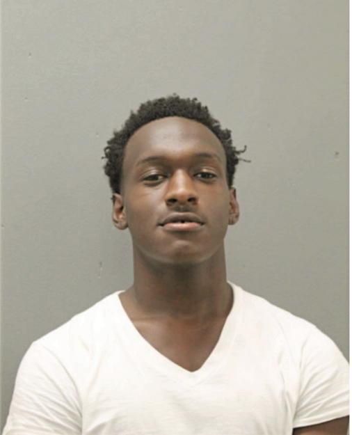 ANDREW P LEWIS, Cook County, Illinois