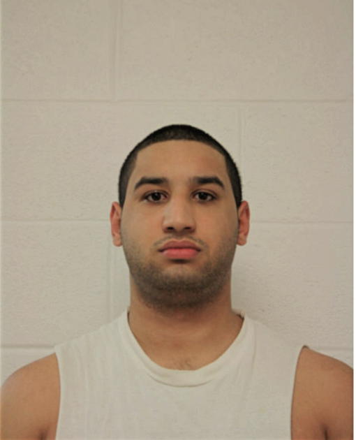 ERVING B LUGO, Cook County, Illinois