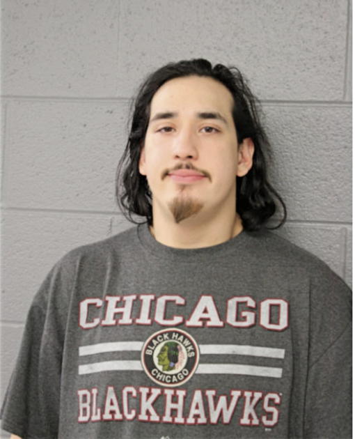 JULIAN L LUGO, Cook County, Illinois