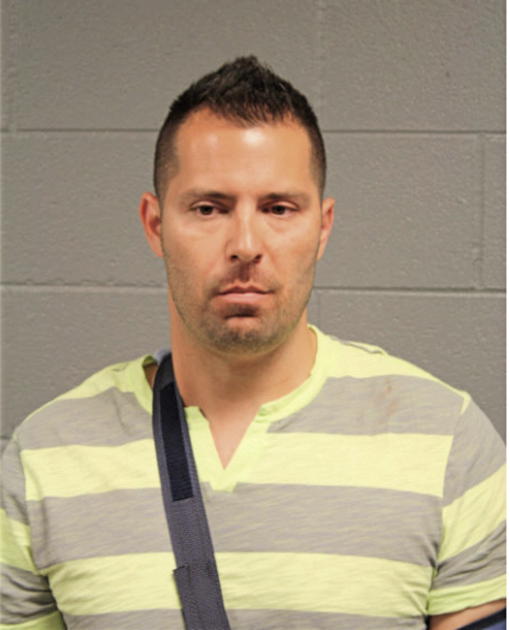 MICHAEL J MANZUK, Cook County, Illinois