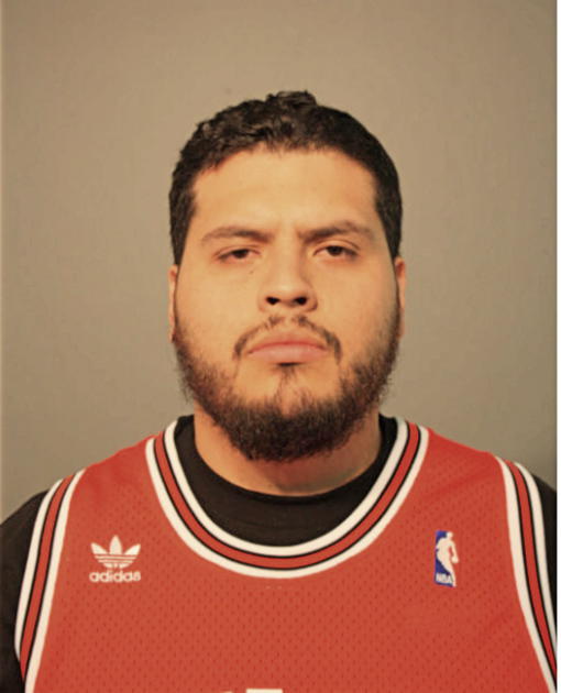 CARLOS E ORTEGA, Cook County, Illinois