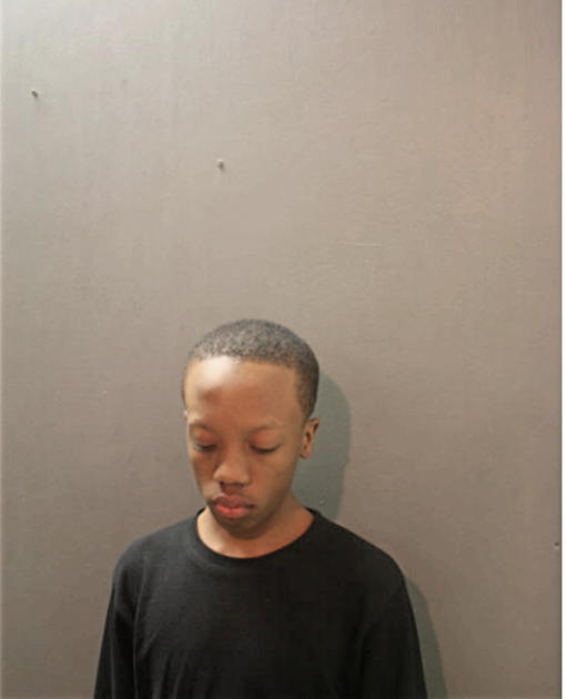 DAVID L ROBINSON, Cook County, Illinois