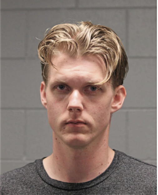 ANTHONY N ROWLEY, Cook County, Illinois