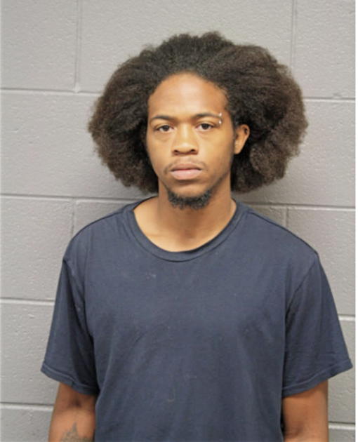 LEE J SHAWN, Cook County, Illinois