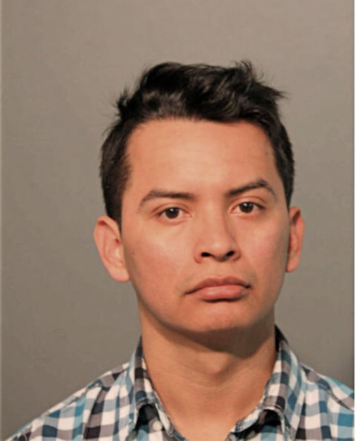 JAVIER SOTELO, Cook County, Illinois
