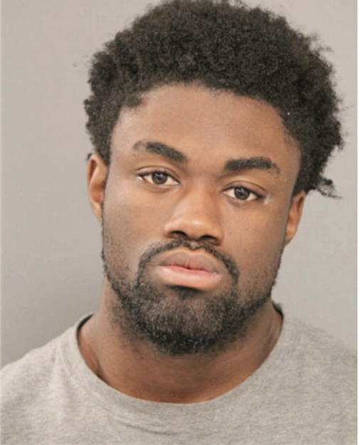 DARTANGNON C TOUSSON, Cook County, Illinois