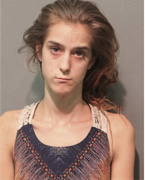 ERICA J VANDERPLOW, Cook County, Illinois