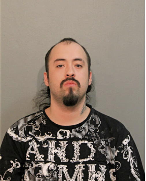 DINO VENEGAS, Cook County, Illinois