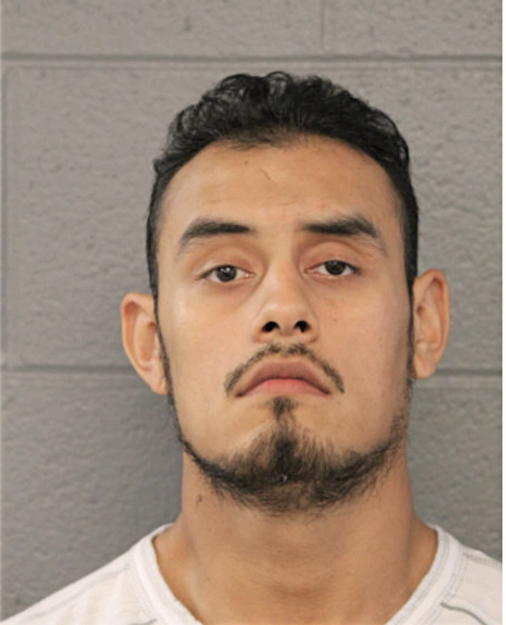 OSCAR VILLAGRANA, Cook County, Illinois