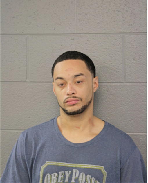 WESLEY D WILLIAMS, Cook County, Illinois