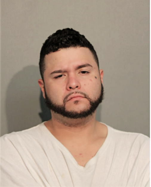 CESAR ALVARADO, Cook County, Illinois