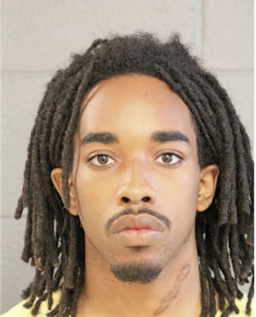 MATTHEW J ANDREWS, Cook County, Illinois