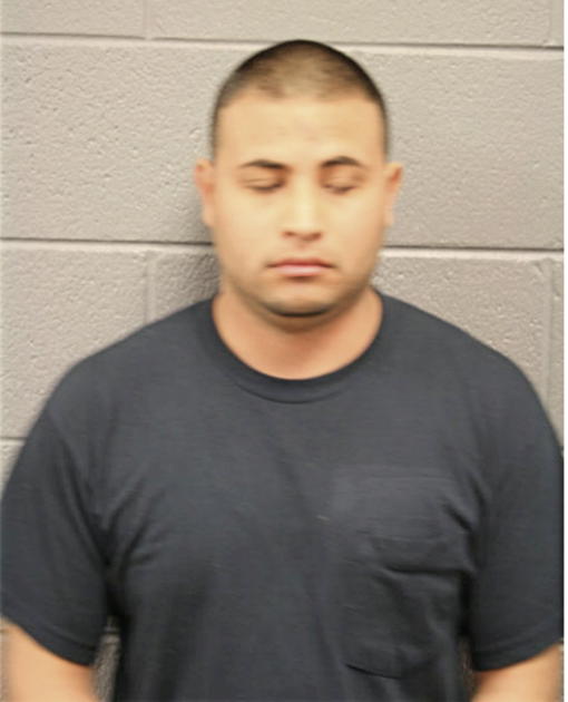 LUIS ARCEO, Cook County, Illinois