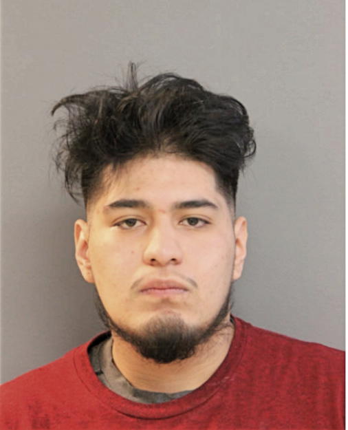 LUCIANO AVILES-MONTES, Cook County, Illinois