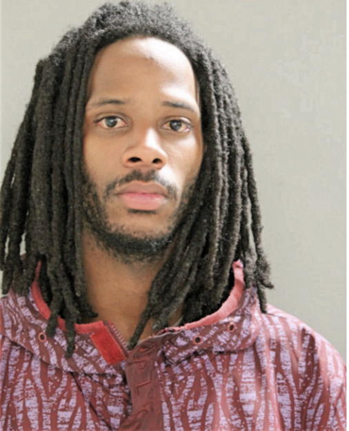 DEMARLO D DULANEY, Cook County, Illinois