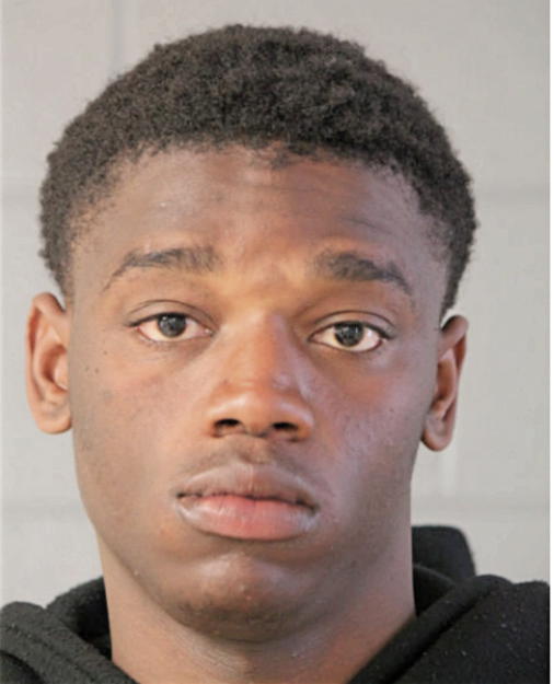BRIAN L EVANS, Cook County, Illinois