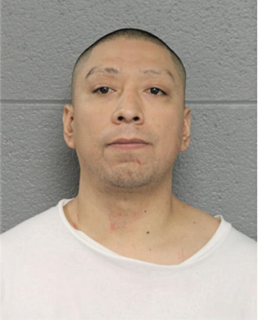 CARLOS FERNANDEZ, Cook County, Illinois
