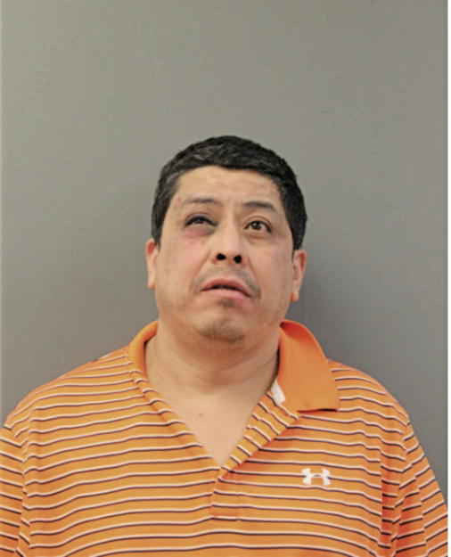 REYNEL S FERNANDEZ, Cook County, Illinois